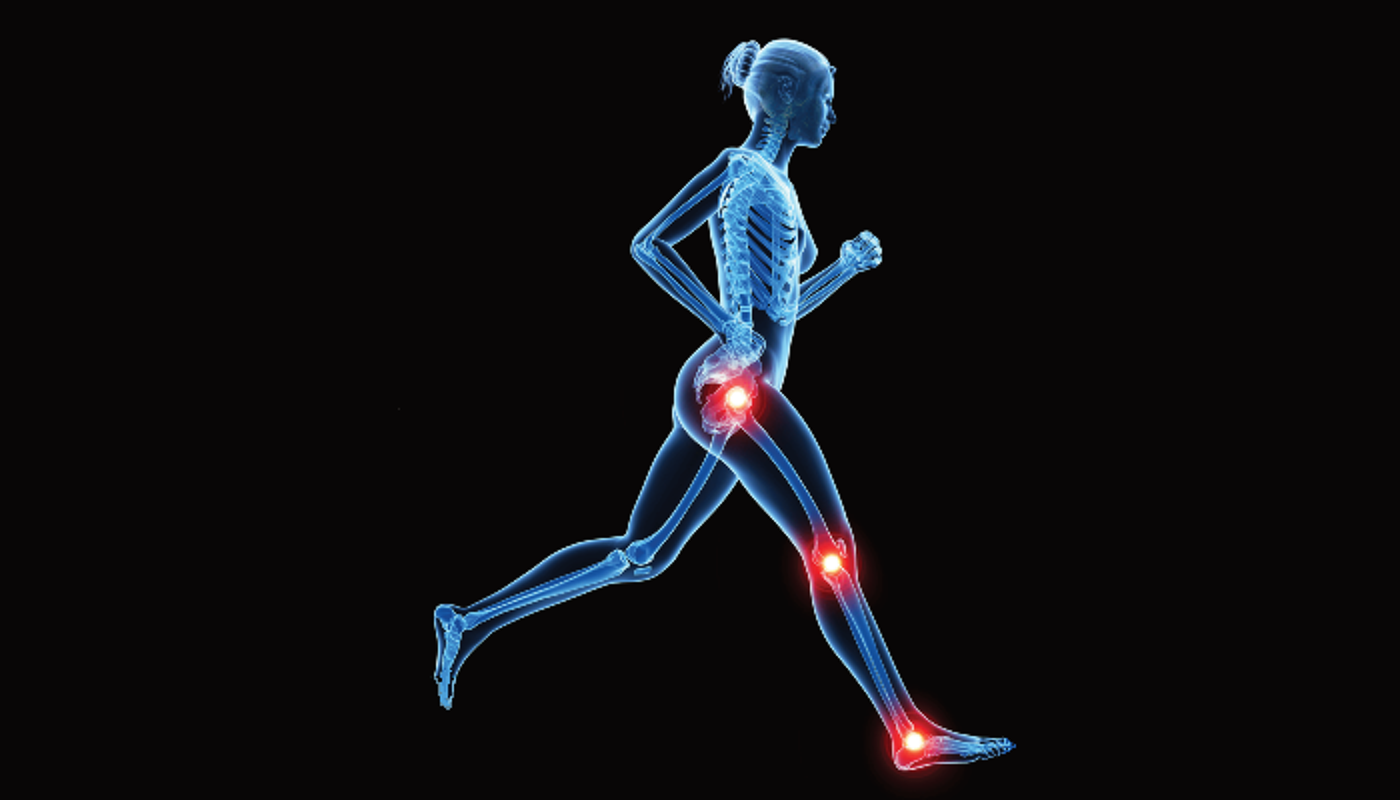 A graphic showing a female body showing the human physiology whilst running