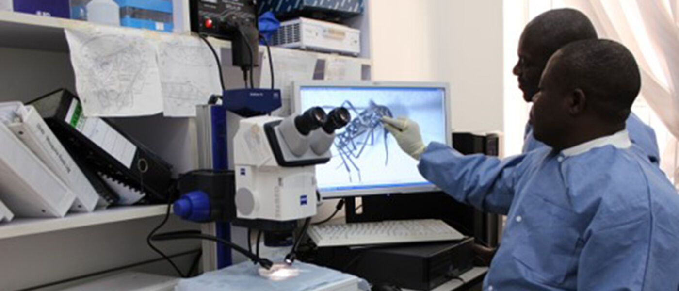 Two people looking at the image of a mosquito on from a microscope