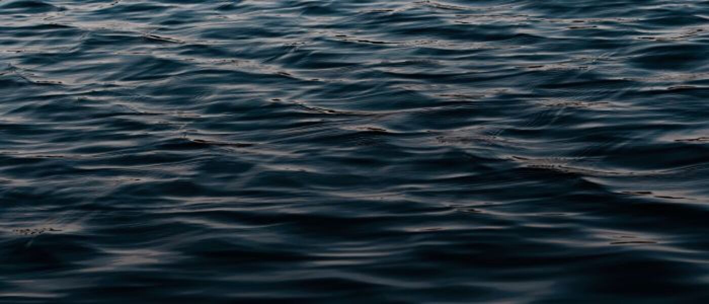 Image credit Nathalia Arantes - approved use