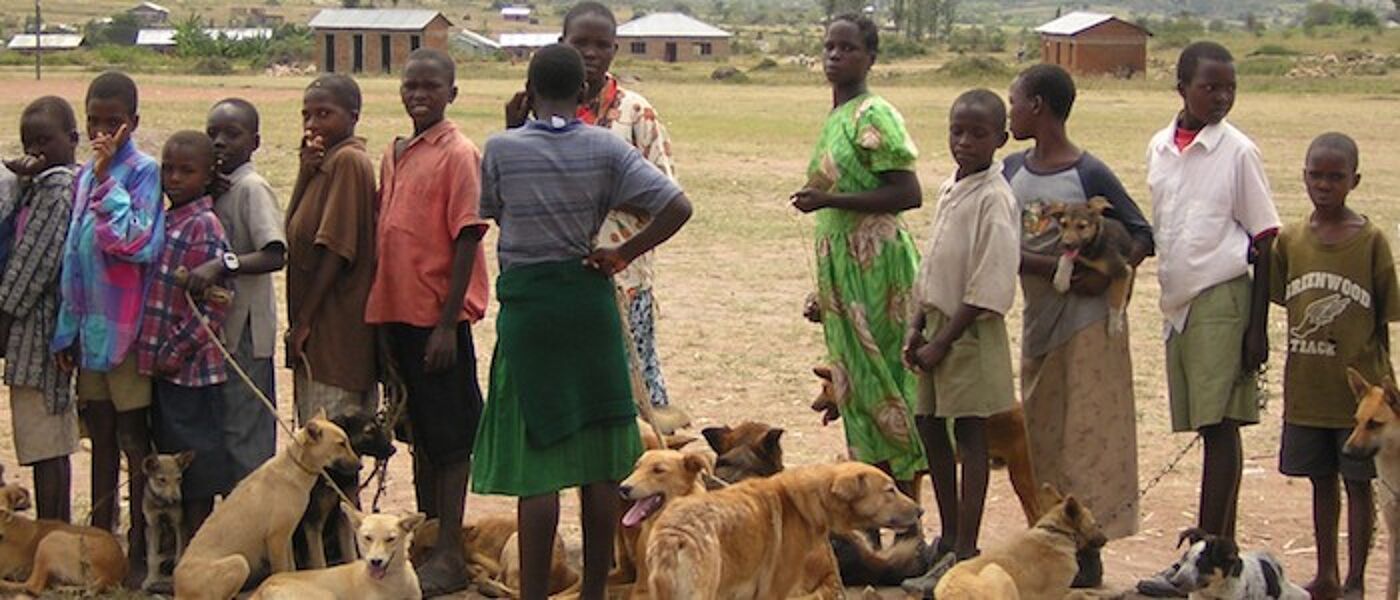 Image of people lining up to have their dogs vaccinated against rabies in Tanzania