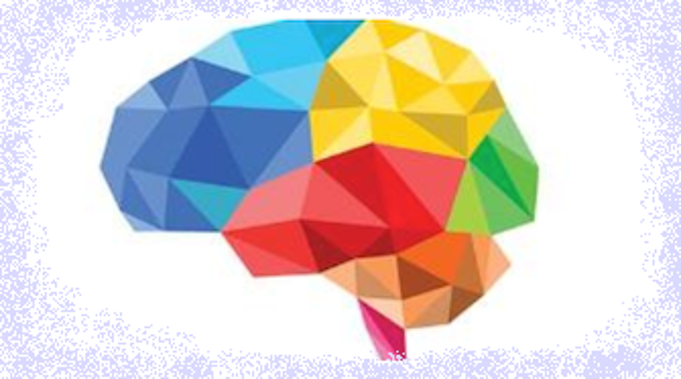 abstract image of a brain made up of red, blue, green and red triangles and rectangles