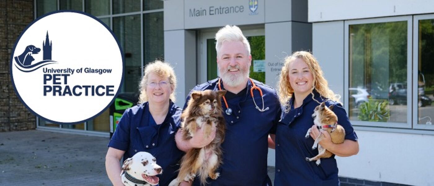 # Discover Exceptional Pet Care at Blue Cross Pet Hospital North Hollywood: Your Furry Friends Deserve the Best!