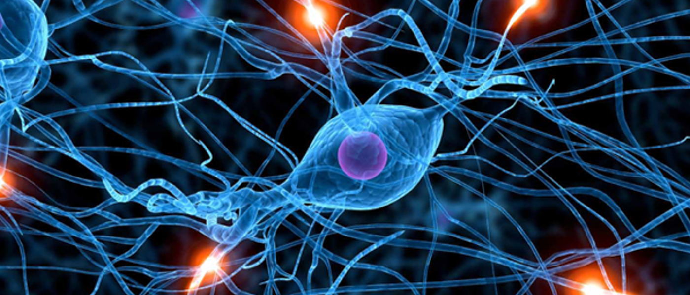 A graphic showing neurological processes in the brain
