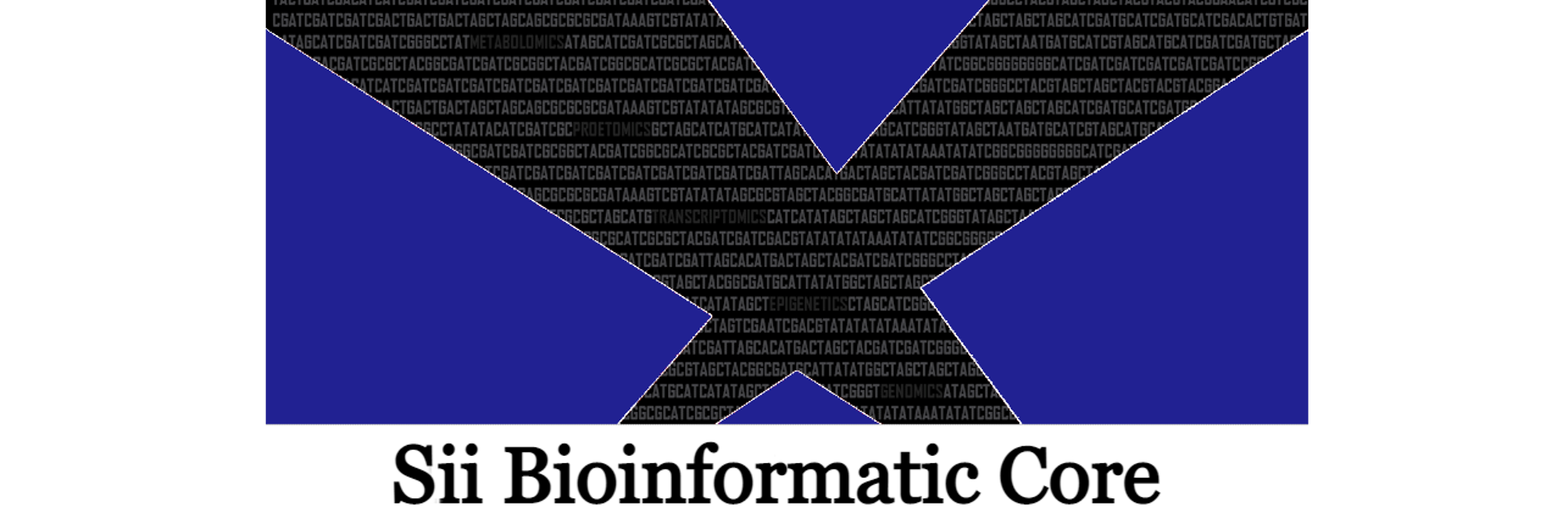 A graphic with code embedded within two crossing beams against a blue background with Sii Bioinformatic Core in text underneath