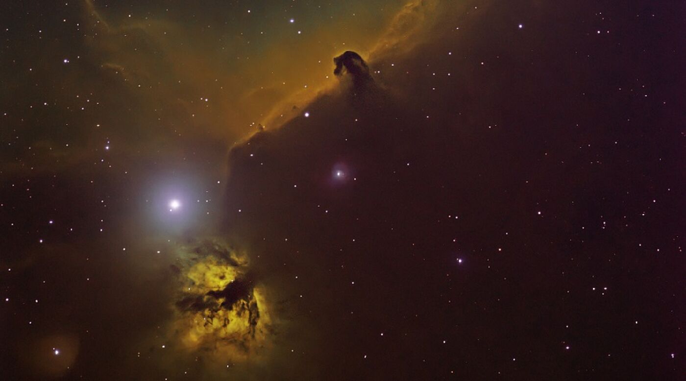Horse head nebula surrounded by stars