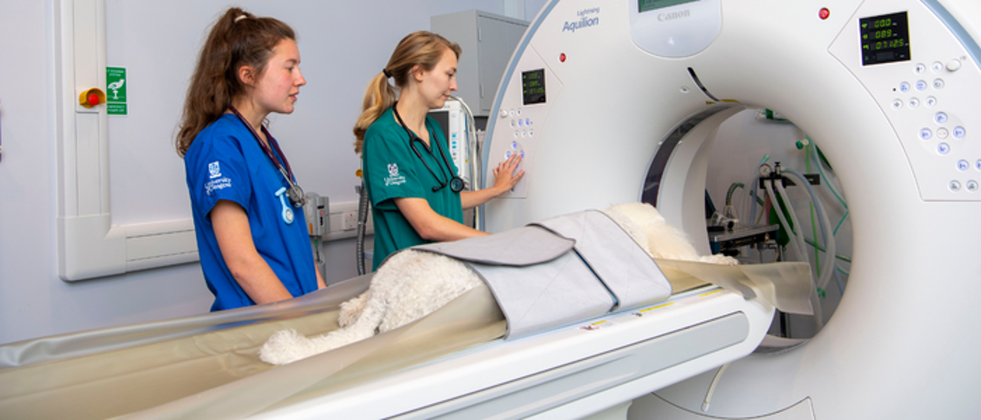 A student and a clinician give a dog a CT Scan at the Small Animal Hospital