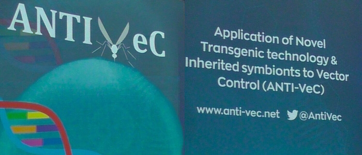 a graphic image from a poster with the antivec logo and text on a blue background