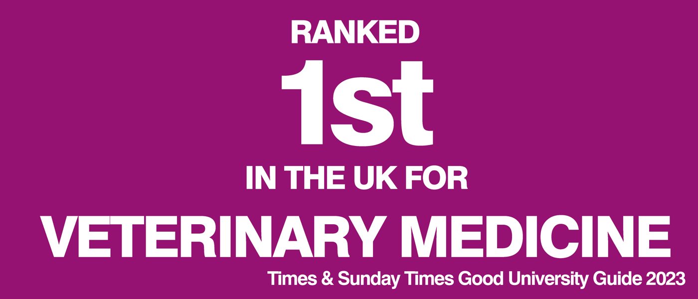 1st in the UK for Veterinary Medicine