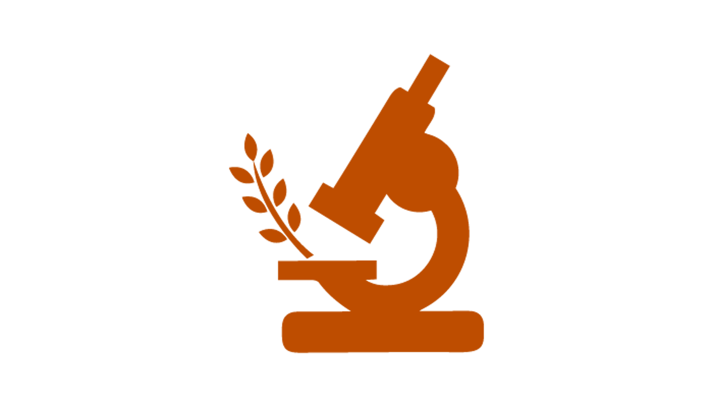 Icon of a microscope investigating a strand of wheat