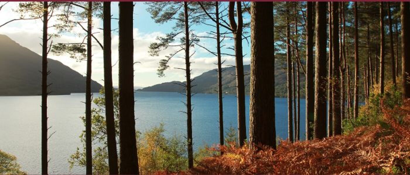 Loch Lomond through trees on an autumn day