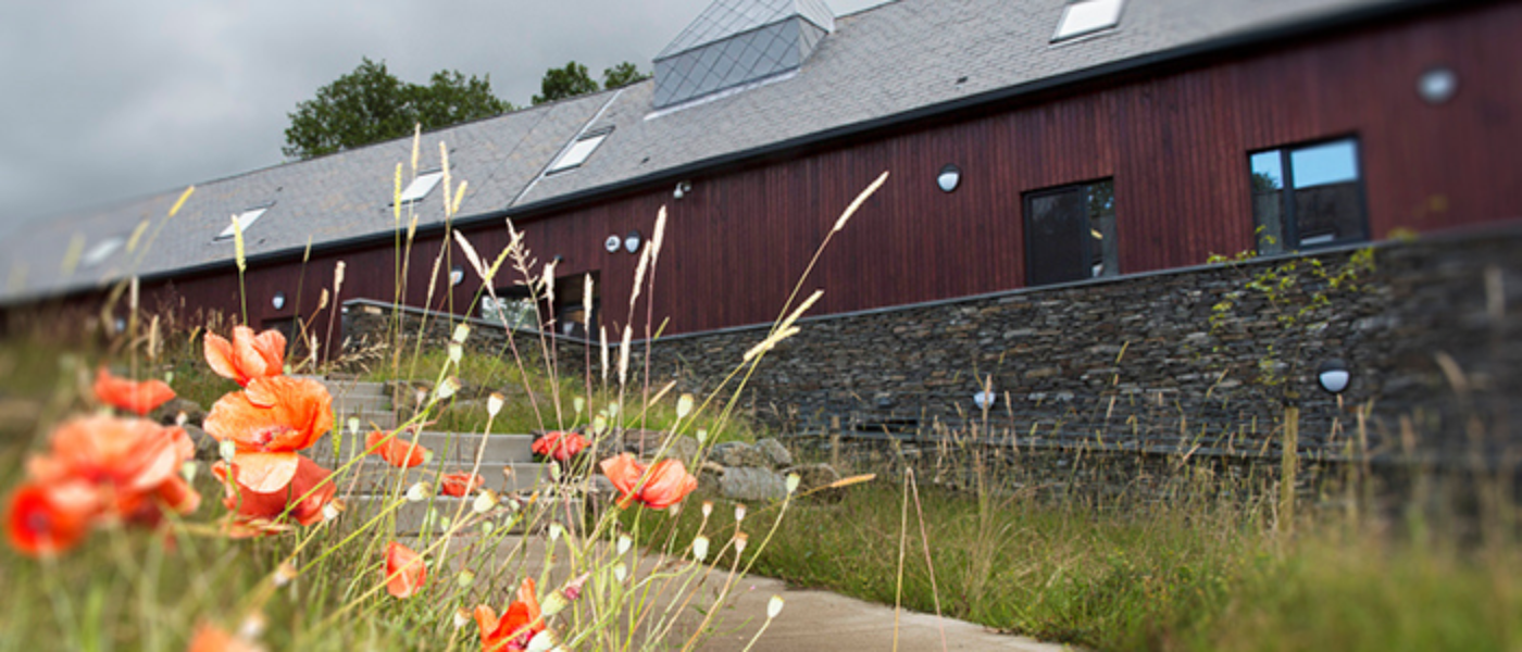 Exterior of the SCENE building with wildflowers