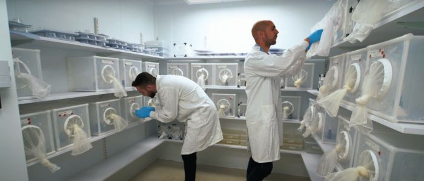 Two white males wearing lab coats and stood in a insectary surrounded by boxes full of mosquitoes. 