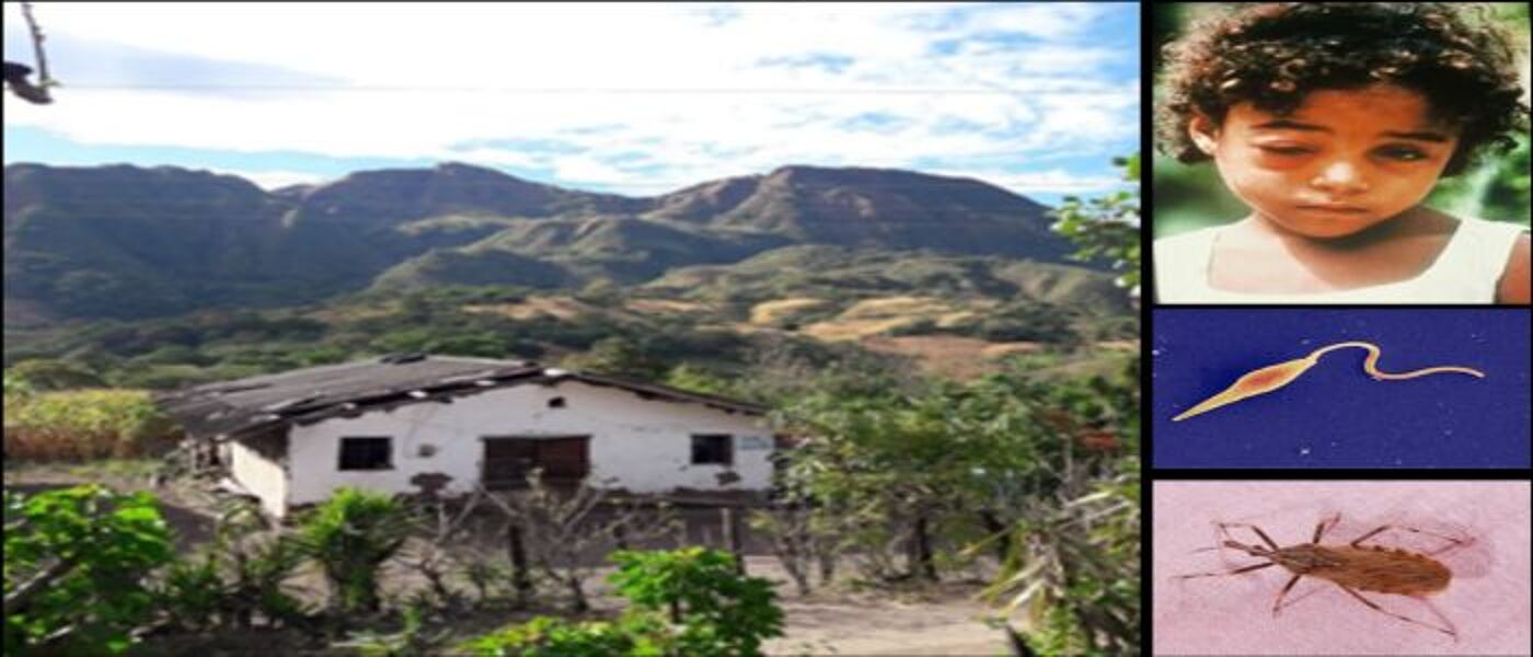 Image of an african landscape